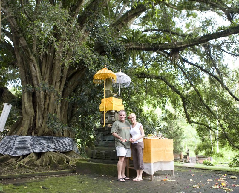x Banyon Tree Shrine.jpg