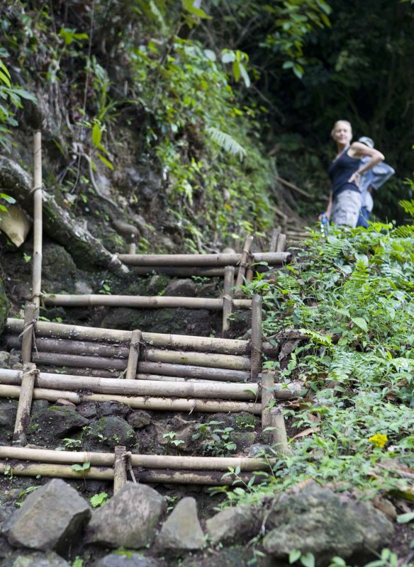 y climbing the trail.jpg