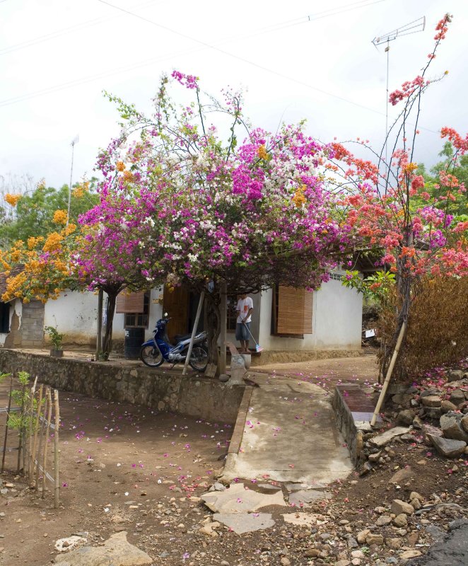 Bali Farmer House