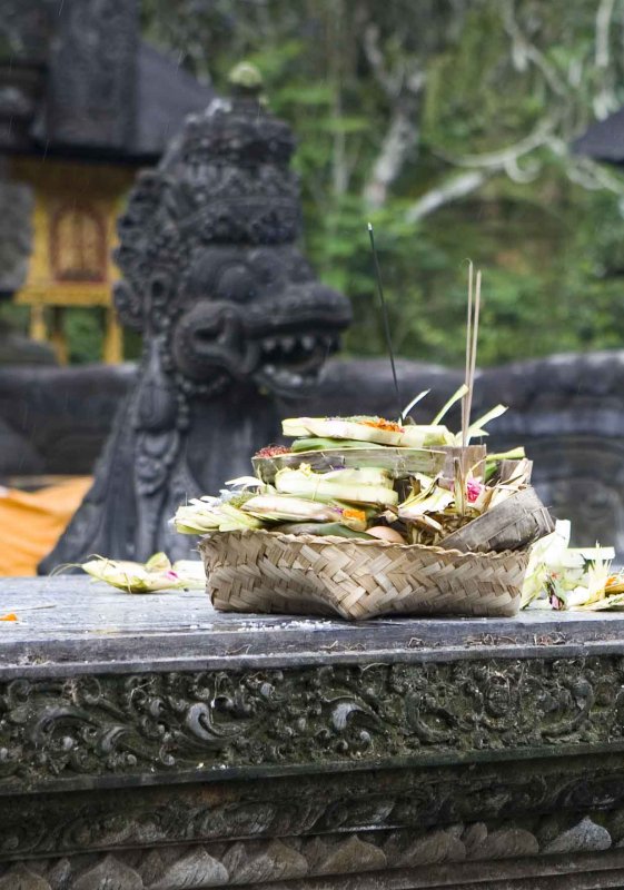 y Offerings.jpg