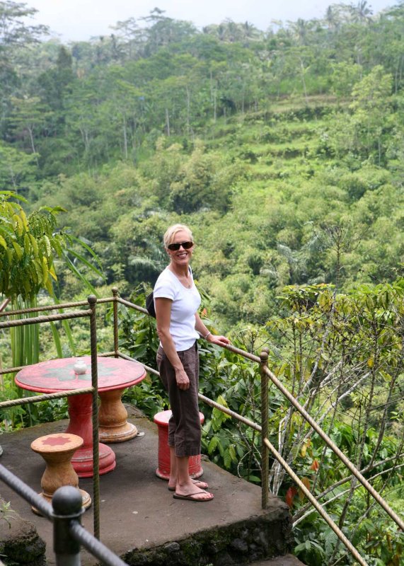 Coffee Plantation