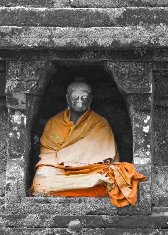 Buddha in Color