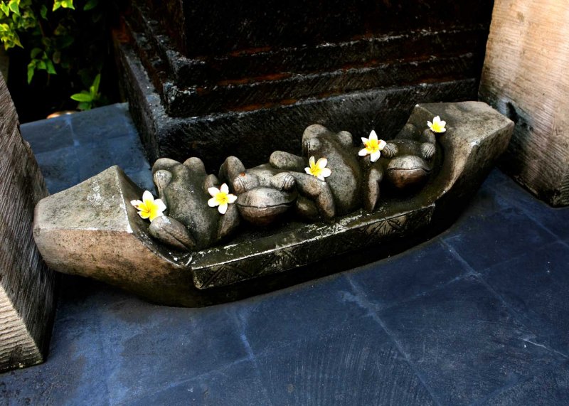 frogs and flowers