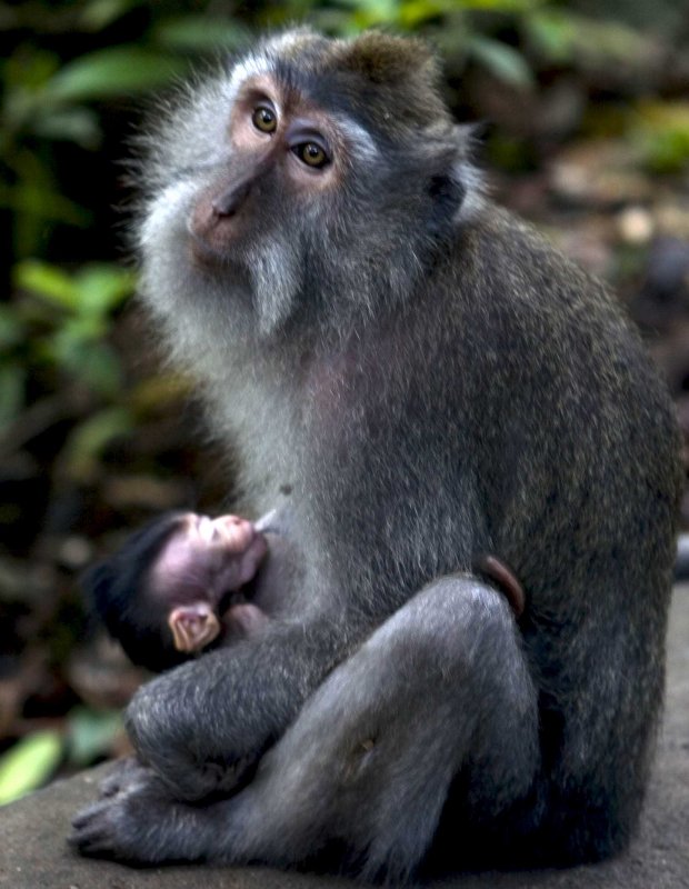 Mother and Child