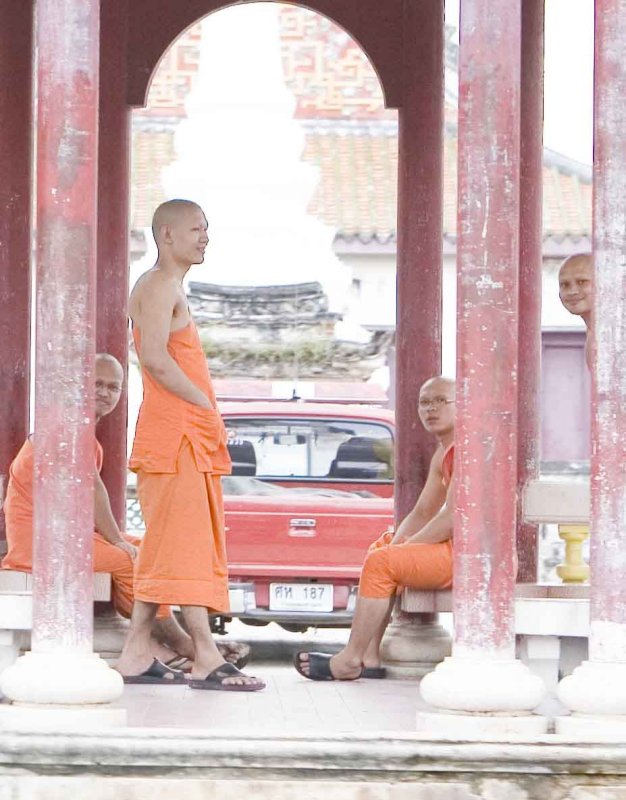 Curious Thai Monks