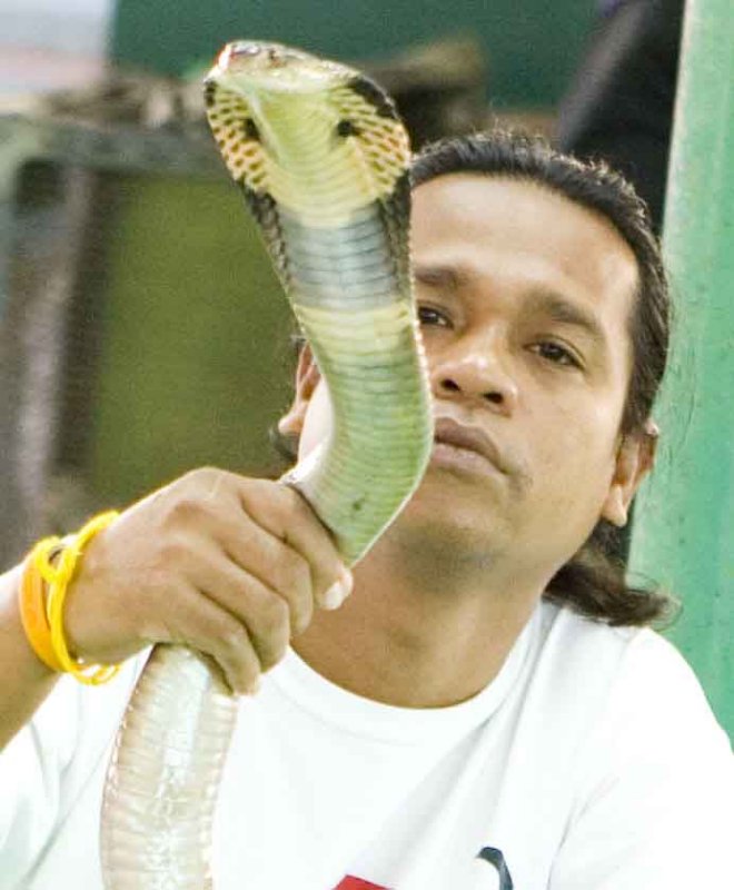 Snake Handler in Bangkok