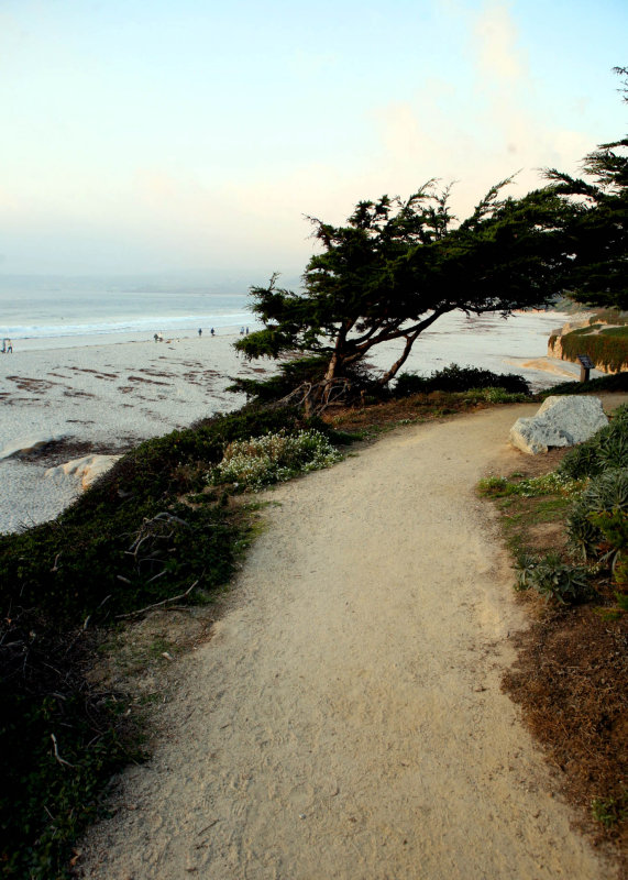 Carmel beach path.jpg