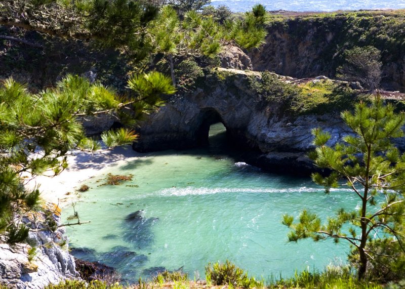 Hiking at Beautiful Pt Lobos State Park near Carmel Ca.