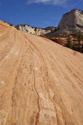 Rock Face - Zion National Park