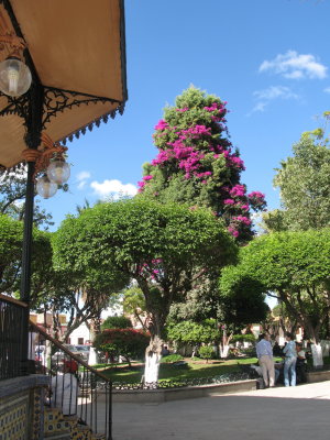 SAN MIGUEL, MEXICO  (as photographed  by my wife Reggie)