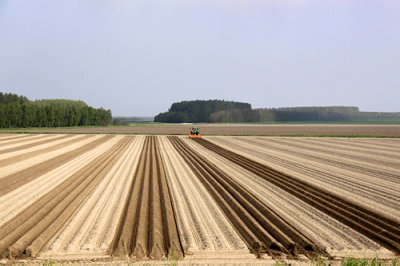 Vierhuizen - Westpolder