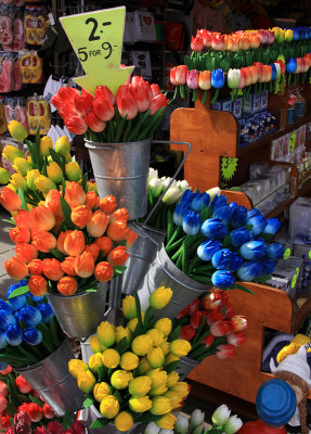 Tourist wooden tulips