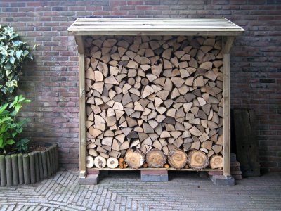 Paterswolde wood 2010