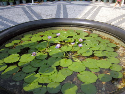 P9210067ES.jpg