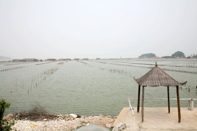 IMG_0173ES.jpg