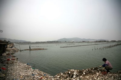 IMG_0182ES.jpg