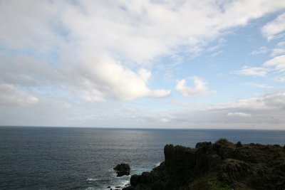 IMG_1780.jpg