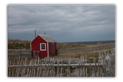 Newfoundland
