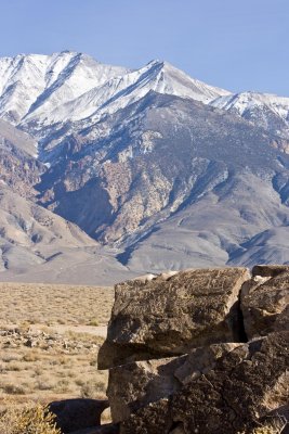 White Mtns in background