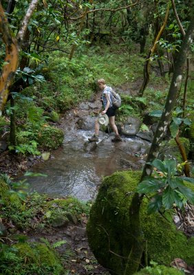 jungle hike