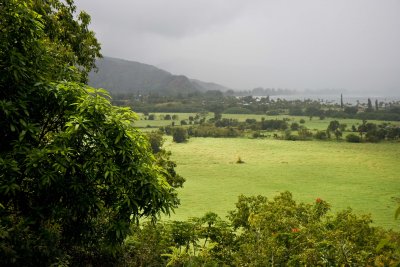 Hanalei Valley