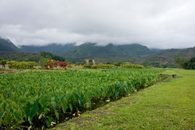 Kauai - the garden isle