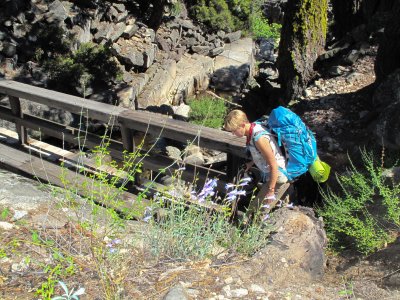 Bridge at Palisade Creek