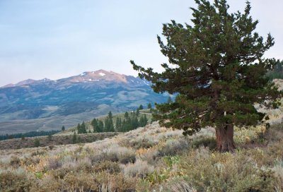 Bridgeport Valley