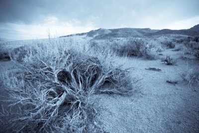 Desert cyan