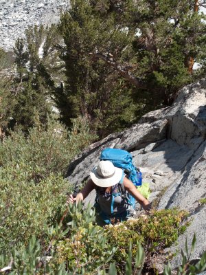 Rock Creek, Eastern Sierra