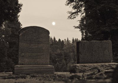 20090902 - moonlight over the graveyard.jpg