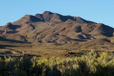 _MG_8095.jpg