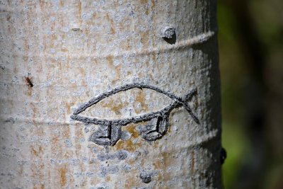 _MG_8309.jpg