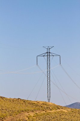 _MG_8457.jpg