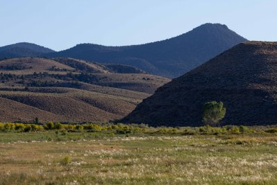 _MG_8461.jpg
