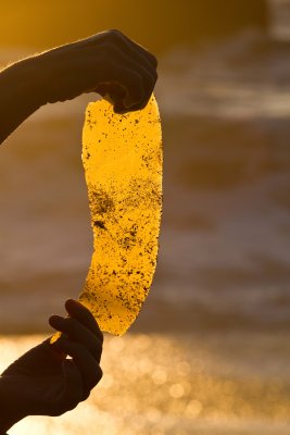 golden light