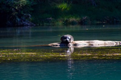 _MG_1437.jpg