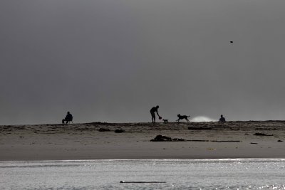 _MG_2020.jpg