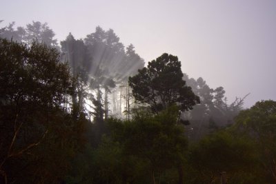 _MG_2209.jpg