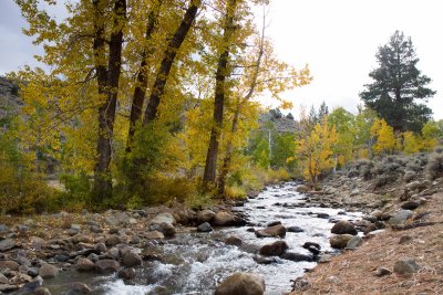 _MG_3040.jpg