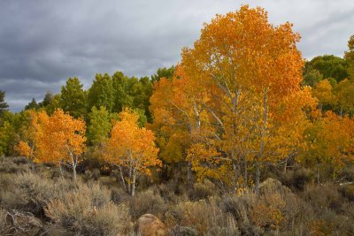 _MG_3049.jpg