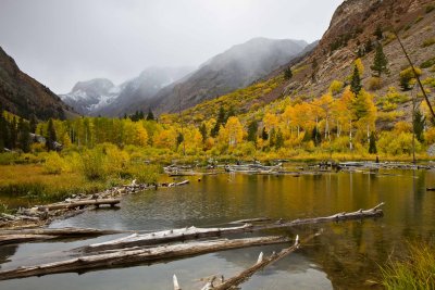 _MG_3220.jpg