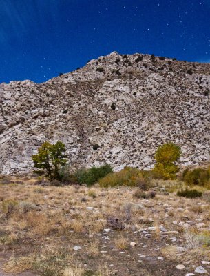 _MG_3489.jpg