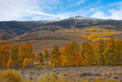 _MG_8337.jpg