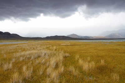 _MG_3275.jpg