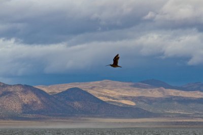 _MG_3301.jpg