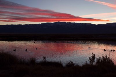 Western Nevada