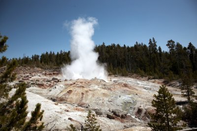Steamboat Geyser - One of the tallest eruptions of any geyser in the world, but only erupts occasionally - last one was in 2005