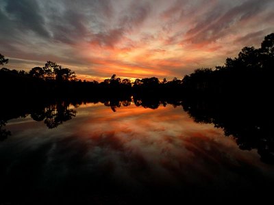 Florida Sunset