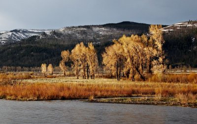 Yellowstone Morning